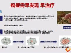 借力防癌检测助推业绩突破操作细则华泰版61页.ppt