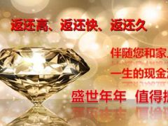 国华盛世年年年金保险产品销售篇20页.ppt