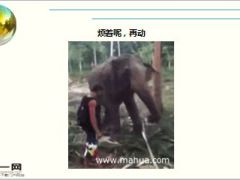 每日快乐早会16年2月25日使用15页.ppt