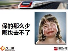 国华畅享无忧两全保险产品介绍24页.ppt