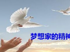 梦圆华夏成就未来公司介绍晋升启动含备注31页.ppt
