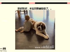 每日快乐早会16年2月26日使用15页.ppt