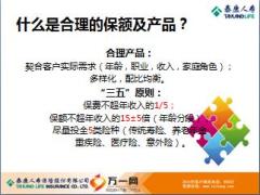 财务核保基础知识泰康代理人版26页.ppt