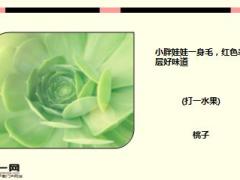 每日快乐早会16年3月1日使用15页.ppt