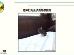 每日快乐早会16年3月3日使用15页.ppt