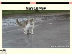 每日快乐早会16年3月4日使用15页.ppt