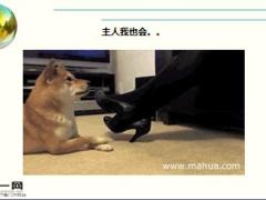每日快乐早会16年3月5日使用15页.ppt
