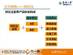 泰康团险交叉销售财运宝宣导23页.ppt