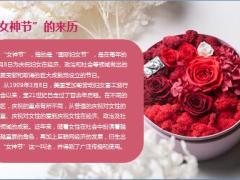 三八妇女节女神节理财专题读懂你的财智生活27页.ppt