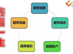 国寿鑫福一生加尊享版鑫账户特色介绍10页.ppt