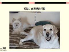 每日快乐早会16年3月7日使用15页.ppt