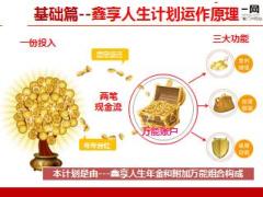 泰康人寿鑫享人生三大账户训练62页.ppt