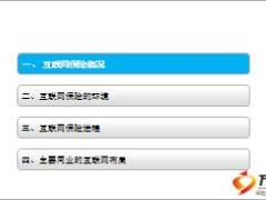 互联网保险浅析概况环境进程同业布局41页.ppt