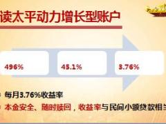 太平金赢家项目开发背景介绍64页.ppt