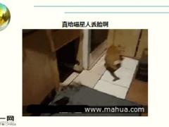 每日快乐早会16年3月9日使用15页.ppt