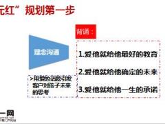 太保东方红状元红销售逻辑含备注28页.ppt