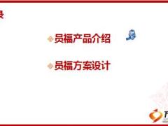 团险员福产品方案设计泰康版41页.ppt