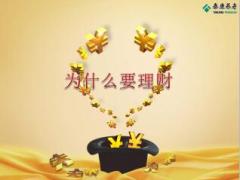 泰康人生赢家产品形态亮点介绍17页.ppt