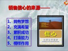 保险公司绩优分享信心行销15页.ppt
