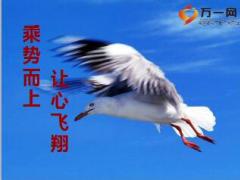 顺势而为做好营销三项基本工作筹备新团队51页.ppt