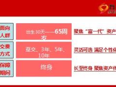 新华福享一生产说会案例部分28页.ppt