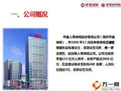 华夏保险公司介绍文化前景经营理念53页.ppt