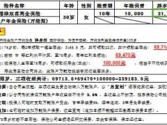 国寿超级至尊保双喜简版计划书1页.rar