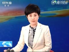 视频俄罗斯客机坠毁55人遇难.rar