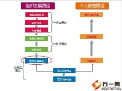 套转新职级及见习跳级晋升泰康版基本法10页.ppt