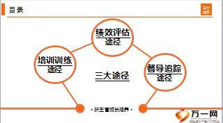 新主管成长培养规划17页.ppt