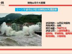 2015财险公司十大赔案出炉23页.ppt