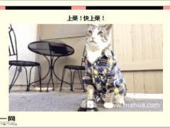 每日快乐早会16年3月24日使用15页.ppt