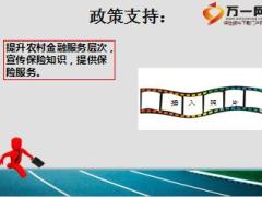 2016年保险村官项目介绍22页.ppt