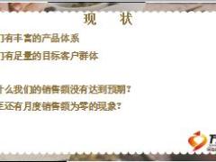 利用极短险做有效拜访太平洋版68页.ppt