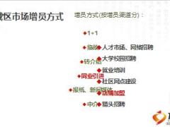 城区增员市场剖析特征方式流程系统面谈含备注22页.ppt