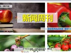 新闻周刊3月19至25日18页.ppt