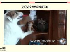 每日快乐早会16年3月28日使用15页.ppt
