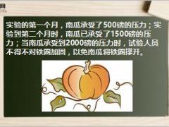 每日正能量早会故事南瓜的压力7页.ppt
