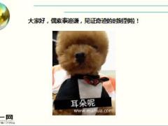 每日快乐早会16年3月30日使用15页.ppt