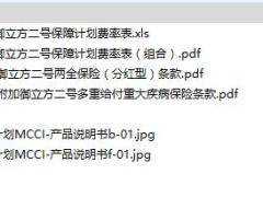 工银安盛人寿御立方二号保障计划条款与费率表产品说明书.rar