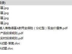 工银安盛人寿稳得富A款两全保险现金价值彩页投保规则试题.rar