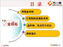 绩优分享我眼中的万能险阳光金祥裕68页.ppt