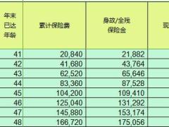 工银安盛人寿鑫如意终身寿险计划书3页.rar