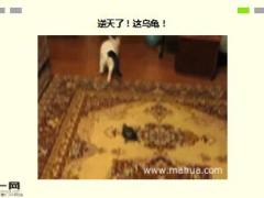 每日快乐早会16年4月1日使用15页.ppt