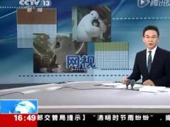 视频分享我们的一生.rar