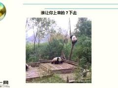 每日快乐早会16年4月2日使用15页.ppt