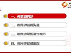 银保微型网沙运作分享31页.ppt
