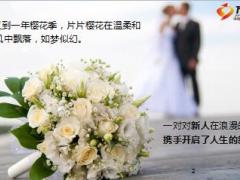 日本新娘说了关于保险的一句话惊呆众人17页.ppt