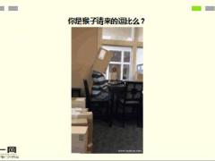 每日快乐早会16年4月5日使用15页.ppt
