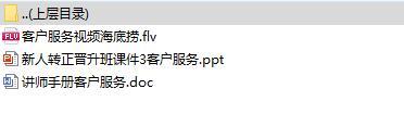新人转正晋升班课件及讲师手册3客户服务含视频.rar
